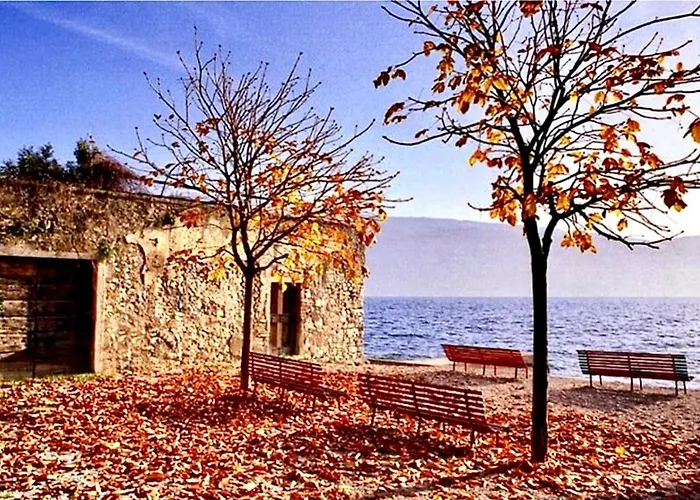 Casa Della Pianista